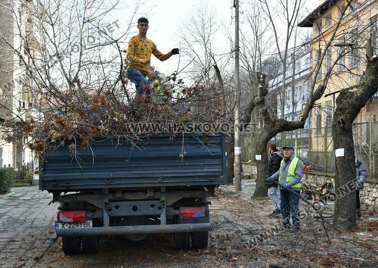 Затвориха улицата край EVN заради резитба на дървета