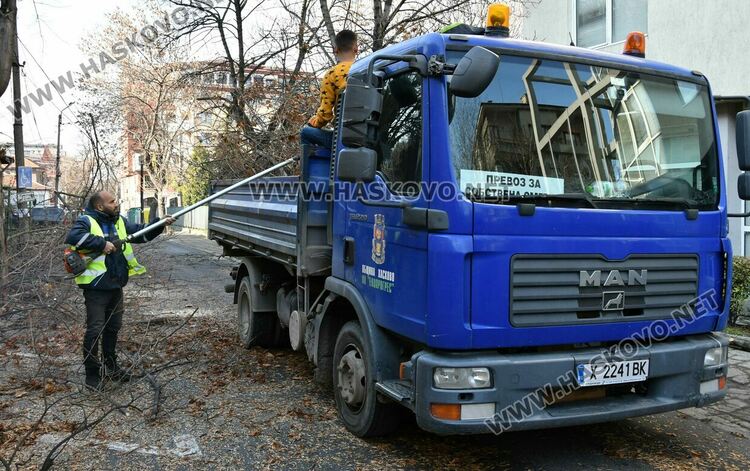 Затвориха улицата край EVN заради резитба на дървета