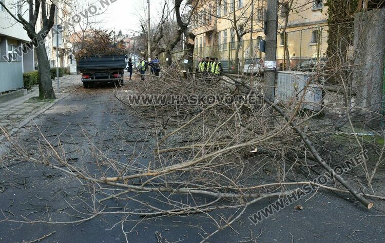 Затвориха улицата край EVN заради резитба на дървета
