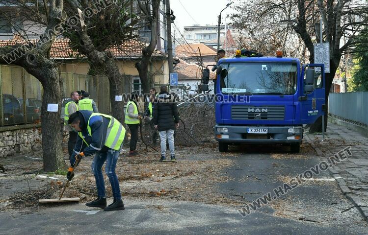 Затвориха улицата край EVN заради резитба на дървета