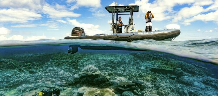 Един риф - цяла планета по Viasat Nature