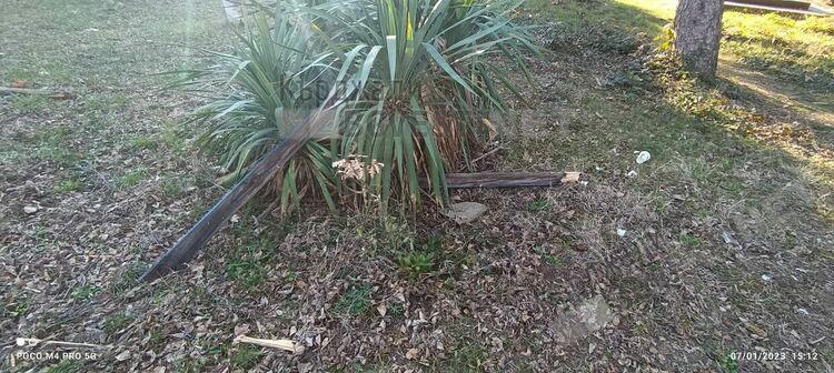 Наркомански купон до Младежкия дом завърши с погром