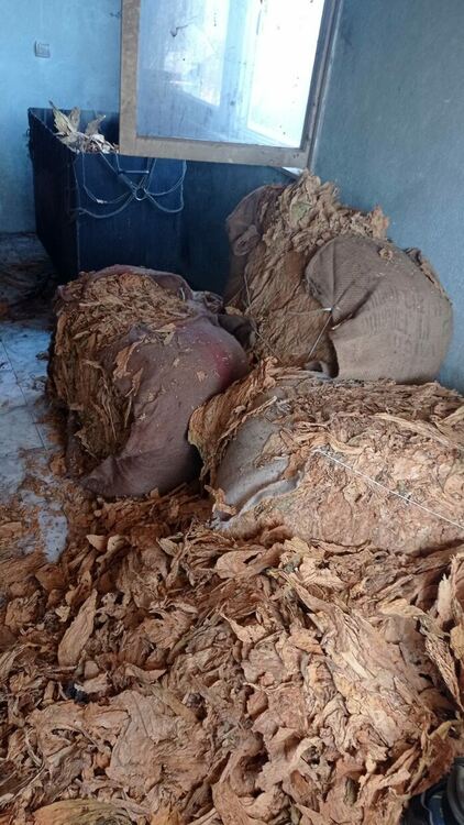 Разбиха нелегална работилница за преработка на тютюн край Пловдив