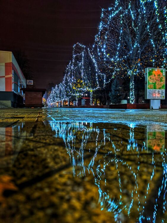 Снимката на второ място по реакции в социалните мрежи 