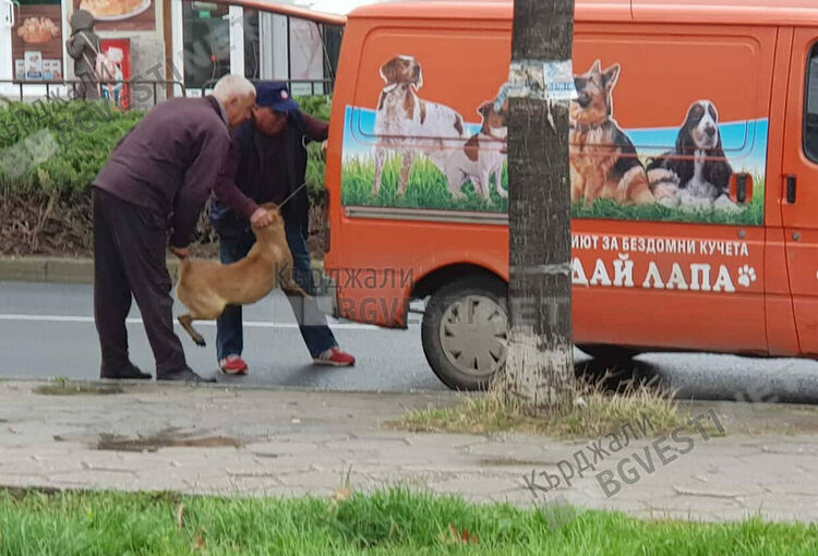 Приютът "Дай лапа" бе закрит ,заради нехуманно отношение
