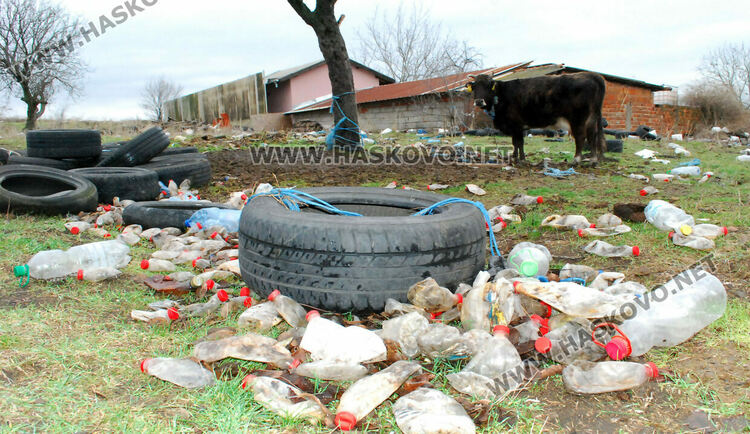 Купища гуми, битови отпадъци и кости в покрайнините на Хасково