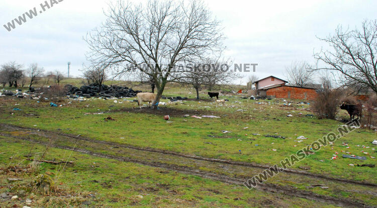 Купища гуми, битови отпадъци и кости в покрайнините на Хасково