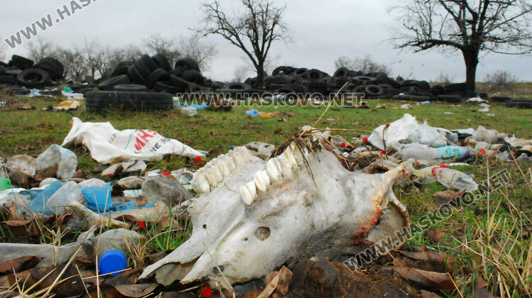 2 акта и предписание за хасковлия за заклани животни и за разчистване на отпадъци