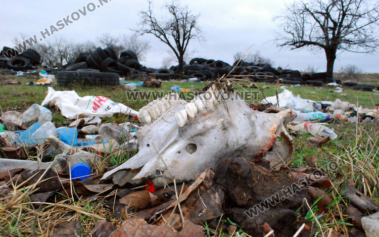 Купища гуми, битови отпадъци и кости в покрайнините на Хасково