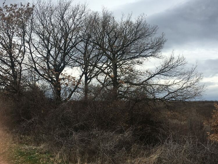 Облачно и студено, дъжд със сняг на места