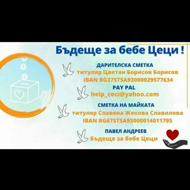 Музиканти и рокери събират средства за лечението на Цеци