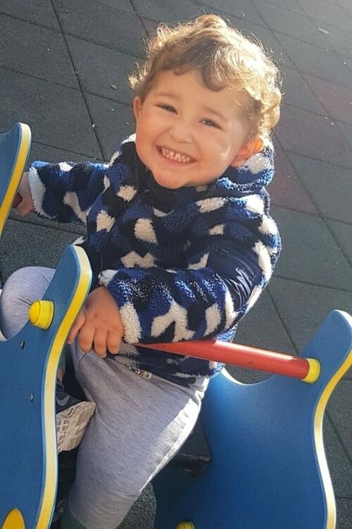 Музиканти и рокери събират средства за лечението на Цеци