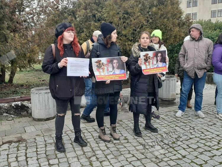 Протестиращи:Общината да изпълнява функциите си срещу неконтролираната популация на животни!
