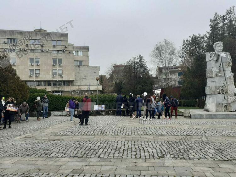 Протестиращи:Общината да изпълнява функциите си срещу неконтролираната популация на животни!