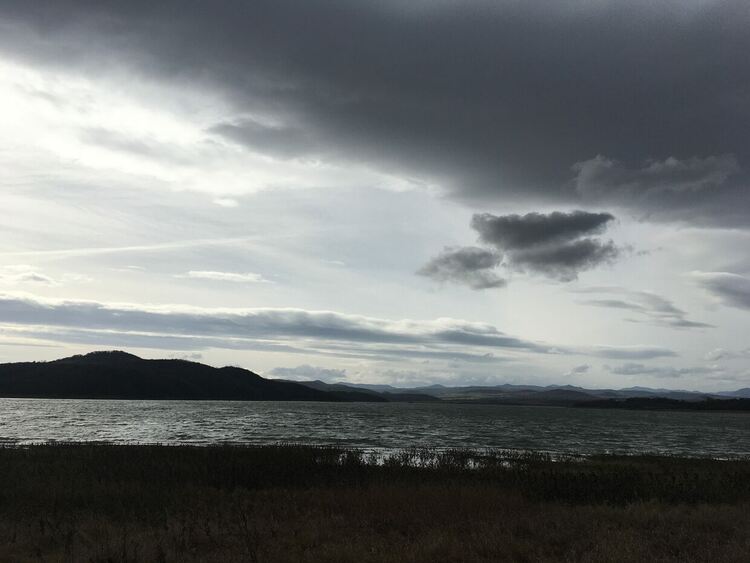 Ветровито и топло до 17 градуса днес