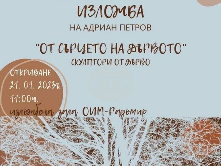 Скулптури от дърво на самоук творец показва музеят в Радомир