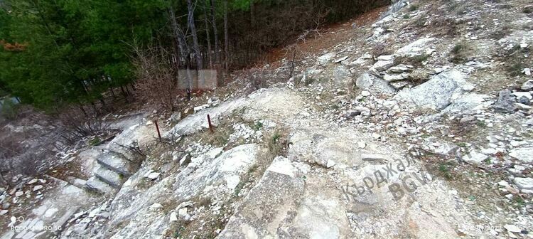 Любимият на момчилградчани лесопарк ше има нова визия