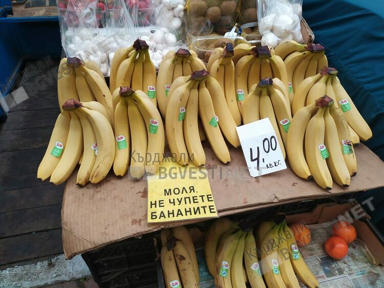 Изселниците в Бурса вземат повече от нашенци в Кърджали,  пазарът в пъти по-евтин /цени/