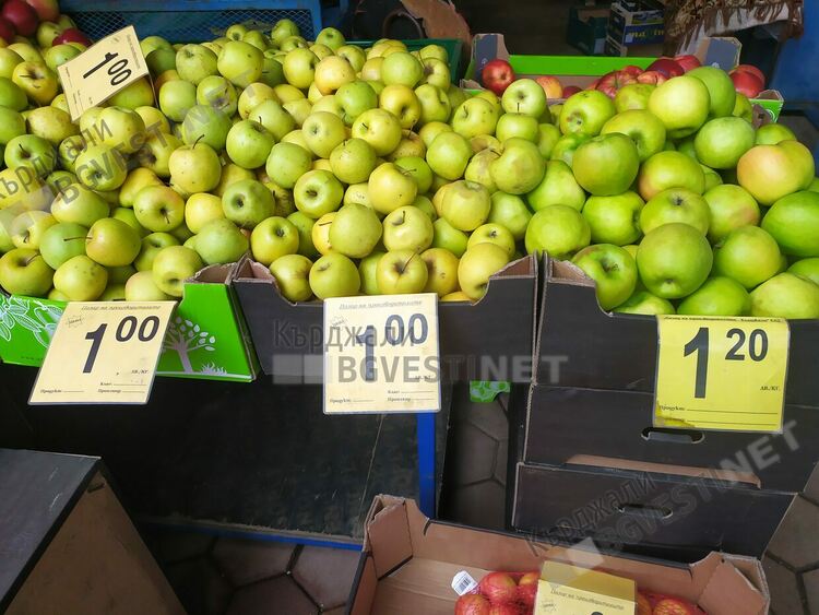 Изселниците в Бурса вземат повече от нашенци в Кърджали,  пазарът в пъти по-евтин /цени/