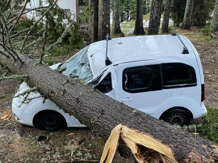 Снимката е илюстративна