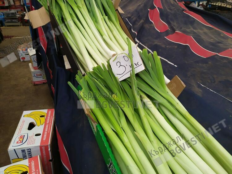 Изселниците в Бурса вземат повече от нашенци в Кърджали,  пазарът в пъти по-евтин /цени/