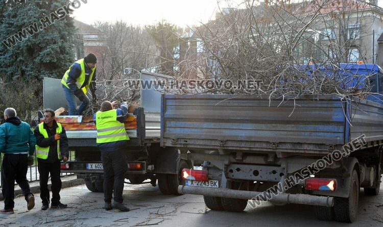 Силният вятър пречупи дърво и клони в Хасково