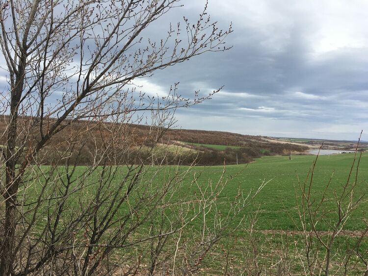 Преминава средиземноморски циклон. Сняг на запад, 20 градуса на изток