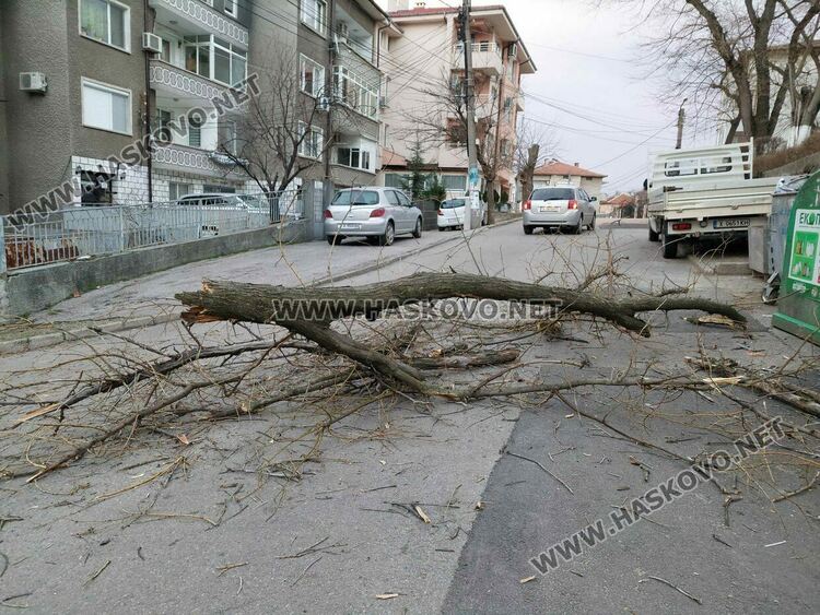 Ветровито и дъждовно в петък, в сила е жълт код