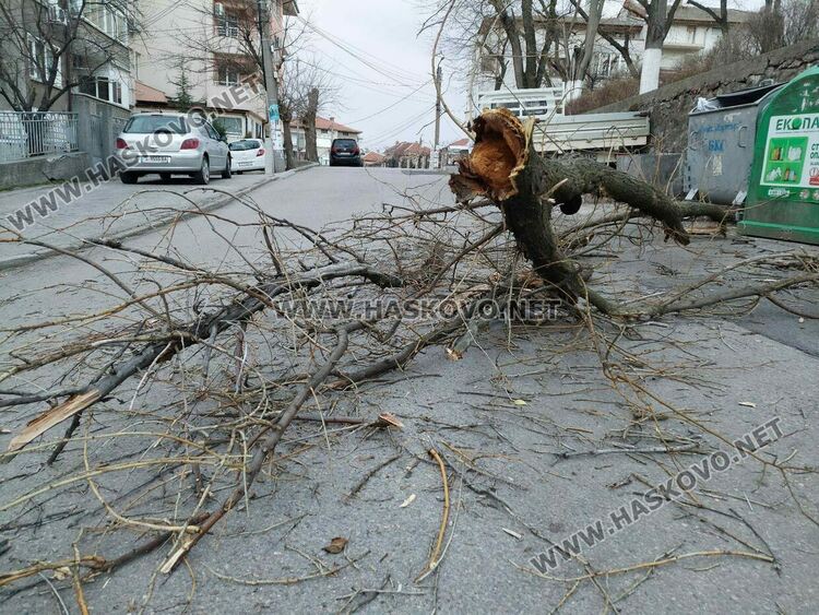 Ветровито и дъждовно в петък, в сила е жълт код