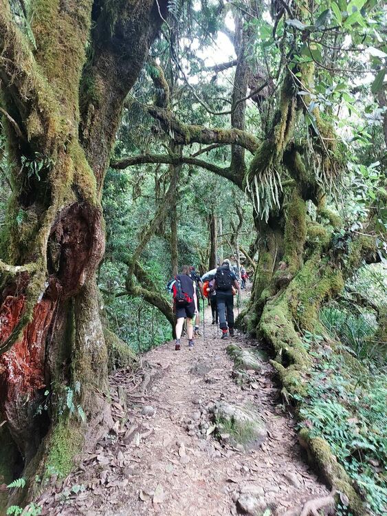 Първомайско момиче пя българския химн на 5895 м н.м.в.