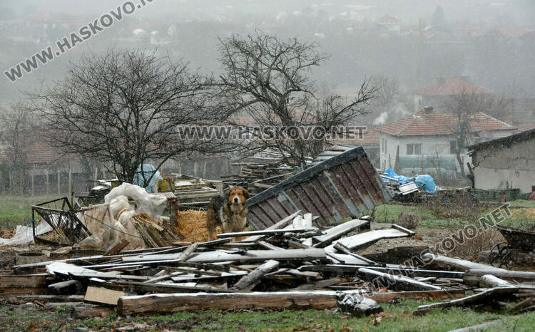Кошарите на Анастас