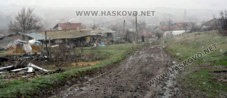 Искат затвор за собственика на кучето, нахапало жестоко дете във Въгларово