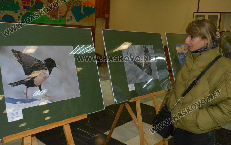 Полският посланик у нас представи своя поглед към пернатия свят на България