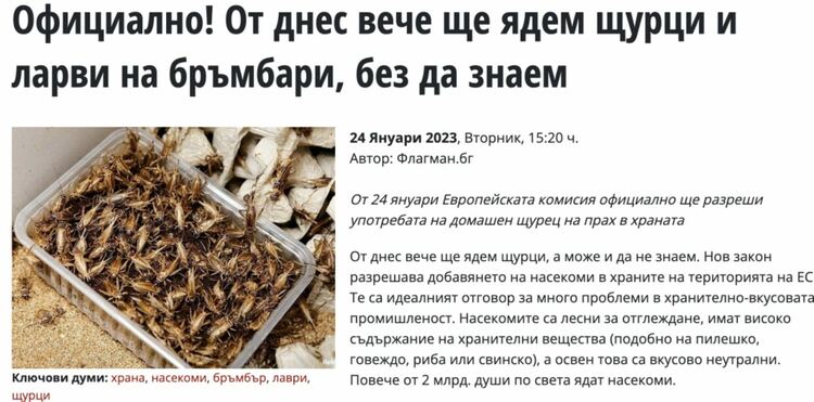 Factcheck: Не, ЕС не е разрешил потребителите да ядат насекоми, без да знаят