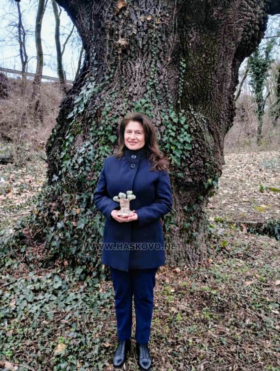 Светлана Николова под клоните на четвъртвековният ясен