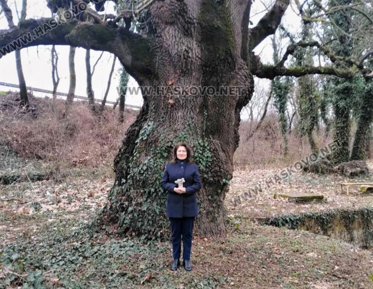 Полският ясен край Изворът на Белоногата е победител в надпреварата „Вековните дървета говорят“ за 2022 г