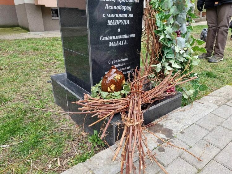 Вино от чешма вместо вода потече и тази година в Асеновград