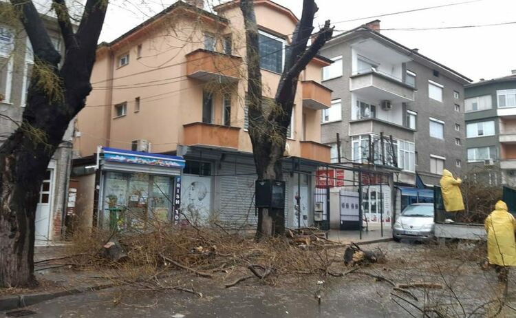 снимката е илюстративна