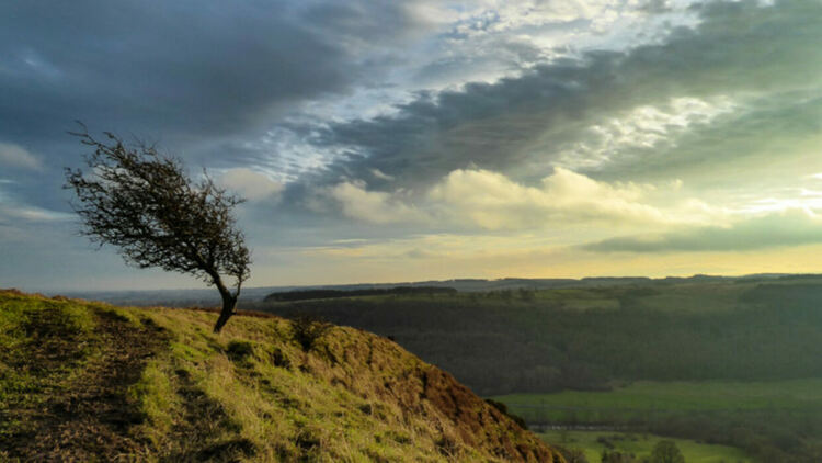 Жълт код за силен северен вятър и по-студено в неделя 