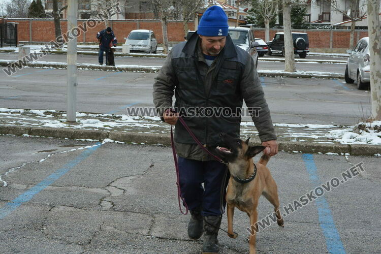 Учредиха „Киноложко сдружение Аида-Хасково“, подготвят изложба на Българско овчарско куче