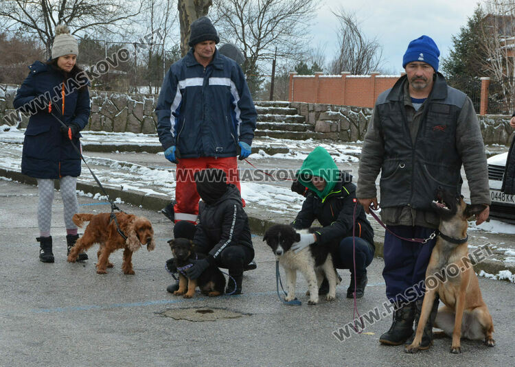 Учредиха „Киноложко сдружение Аида-Хасково“, подготвят изложба на Българско овчарско куче