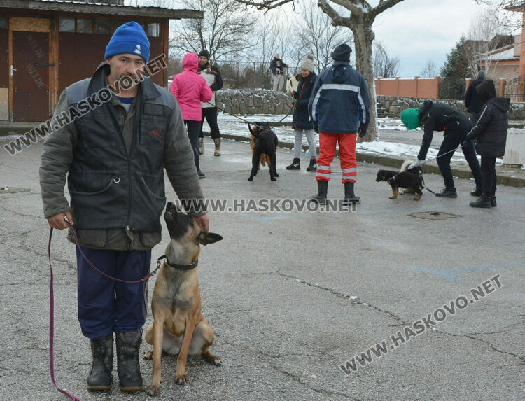 Учредиха „Киноложко сдружение Аида-Хасково“, подготвят изложба на Българско овчарско куче