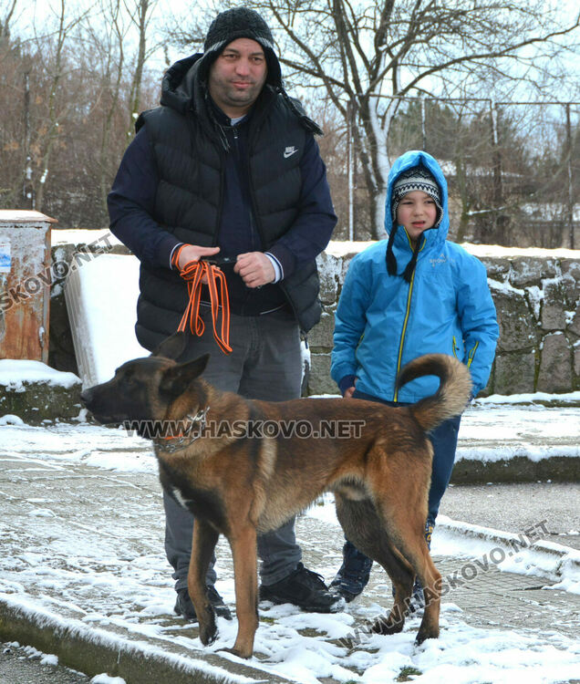 Учредиха „Киноложко сдружение Аида-Хасково“, подготвят изложба на Българско овчарско куче