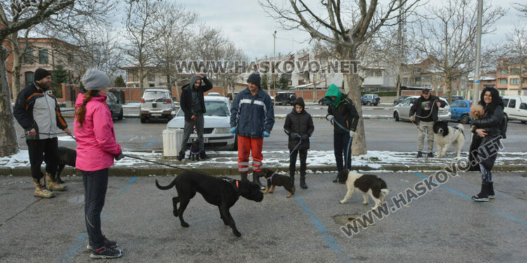 Учредиха „Киноложко сдружение Аида-Хасково“, подготвят изложба на Българско овчарско куче