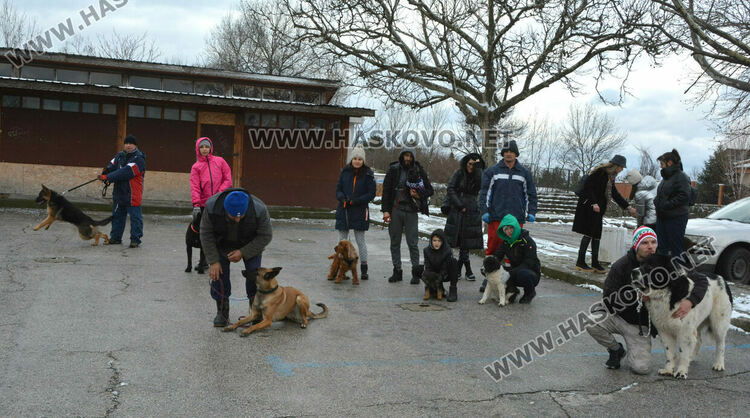 Учредиха „Киноложко сдружение Аида-Хасково“, подготвят изложба на Българско овчарско куче