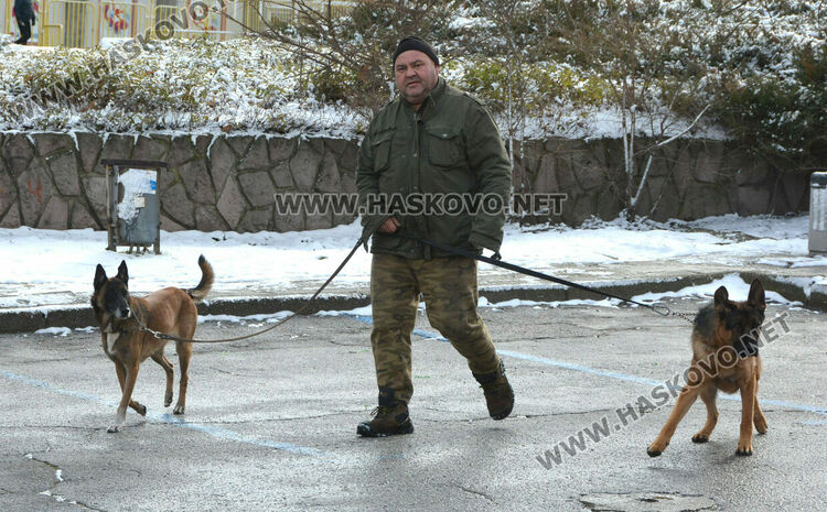 Учредиха „Киноложко сдружение Аида-Хасково“, подготвят изложба на Българско овчарско куче