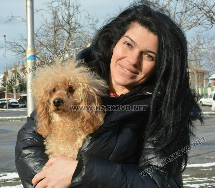 Учредиха „Киноложко сдружение Аида-Хасково“, подготвят изложба на Българско овчарско куче