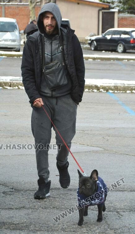 Учредиха „Киноложко сдружение Аида-Хасково“, подготвят изложба на Българско овчарско куче