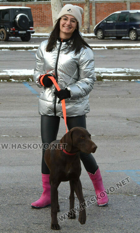 Учредиха „Киноложко сдружение Аида-Хасково“, подготвят изложба на Българско овчарско куче