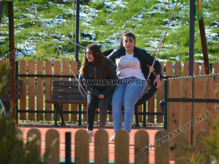 Читателка: Почиствайте след кучетата си в парка над ДНА, той е и за деца